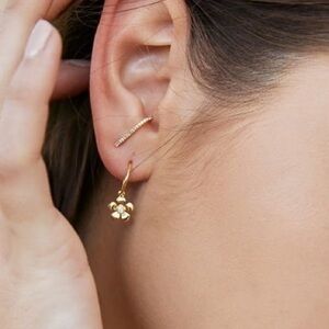 Uncommon James Open Bar ear climber